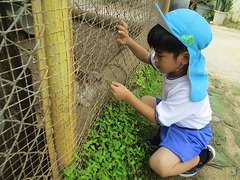 IMG_0451