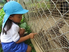 IMG_0454