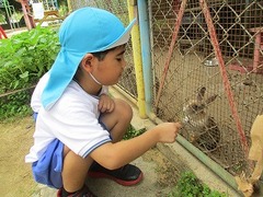 IMG_0457