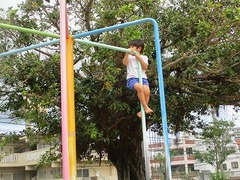 IMG_0487