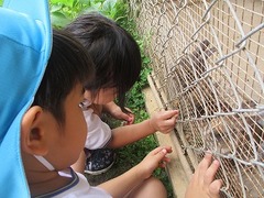 IMG_0509