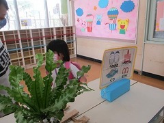 IMG_7152
