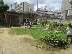 IMG_7311