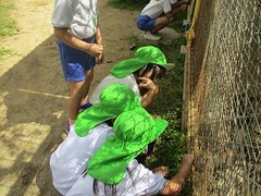 IMG_7315