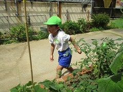 IMG_7317