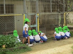 IMG_7322