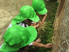 IMG_7331