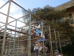 IMG_7345