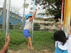 IMG_7352