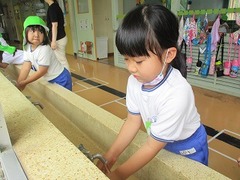 IMG_7368