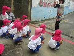 IMG_7403