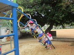 IMG_7411