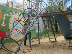 IMG_7445