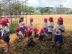 IMG_7448