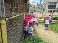 IMG_7450