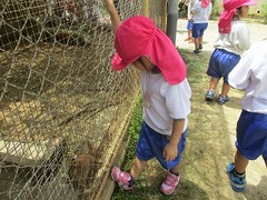 IMG_7454