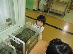 IMG_0089