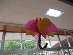 IMG_0266