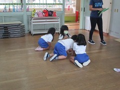 IMG_0349