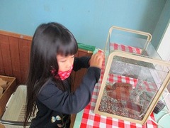 IMG_0366