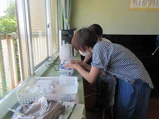 IMG_0689