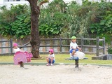DSCN7929
