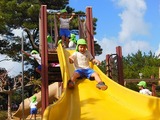 DSCN7945