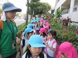 IMG_4119