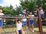 IMG_4219