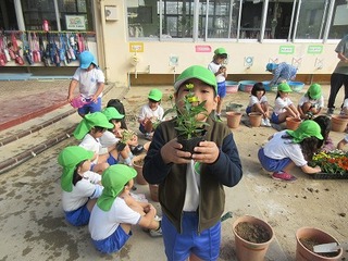 IMG_4030