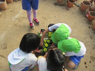IMG_4036