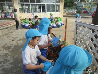 IMG_4049