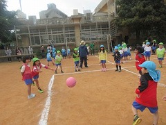 IMG_3336
