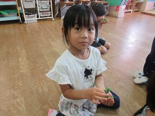 IMG_2936