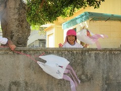 IMG_2453