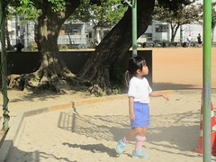 IMG_2467
