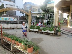 IMG_2484