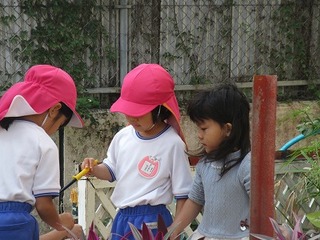 IMG_2488
