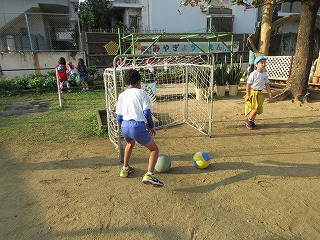 IMG_2595