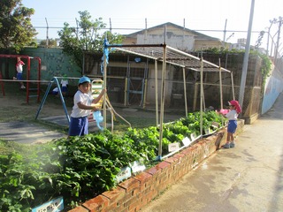 IMG_5453