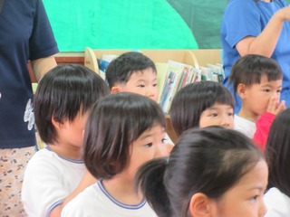 IMG_8501