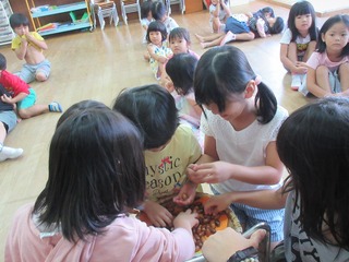 IMG_8085