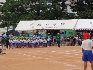 IMG_4556