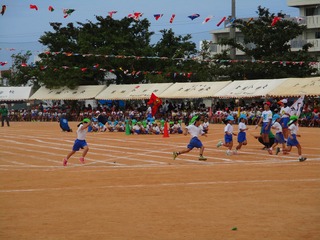 IMG_4567