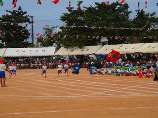 IMG_4576