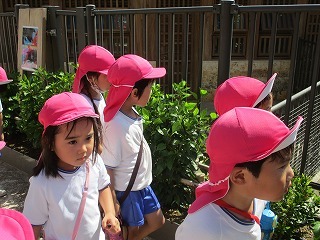 IMG_4094