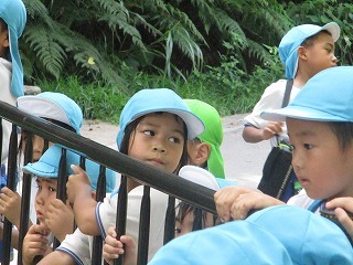 IMG_4142