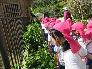 IMG_5569