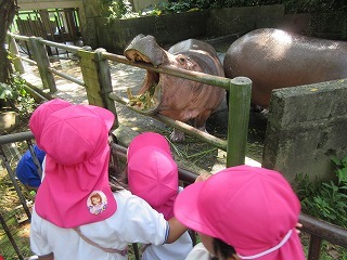 IMG_5580