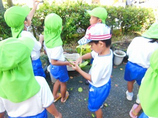 DSCN7501
